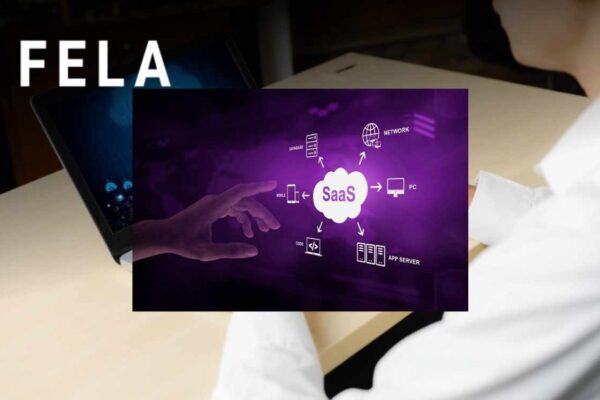 AI-Powered Fela: Transforming Language Learning