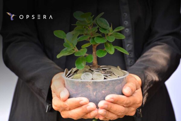 Opsera Raises $20M Series B to Advance AI-Powered DevOps with Agentic AI