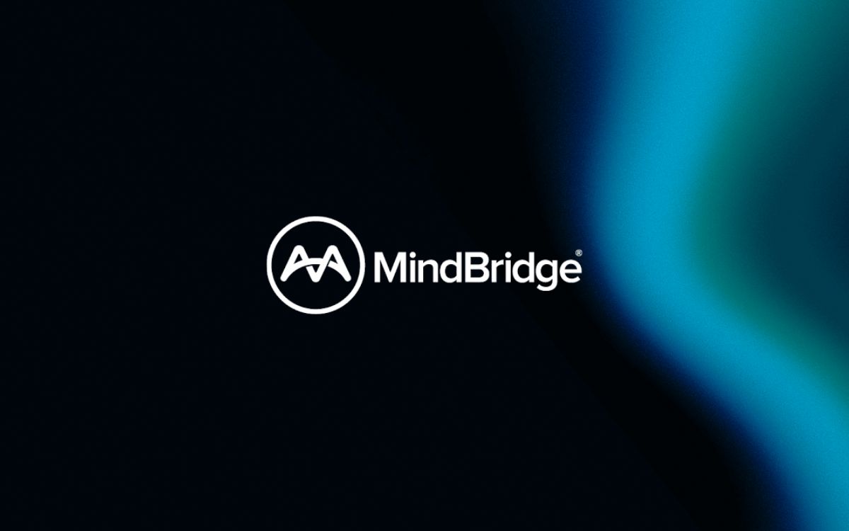 MindBridge Launches Developer Portal for AI Oversight